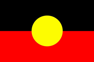 indigenous flag
