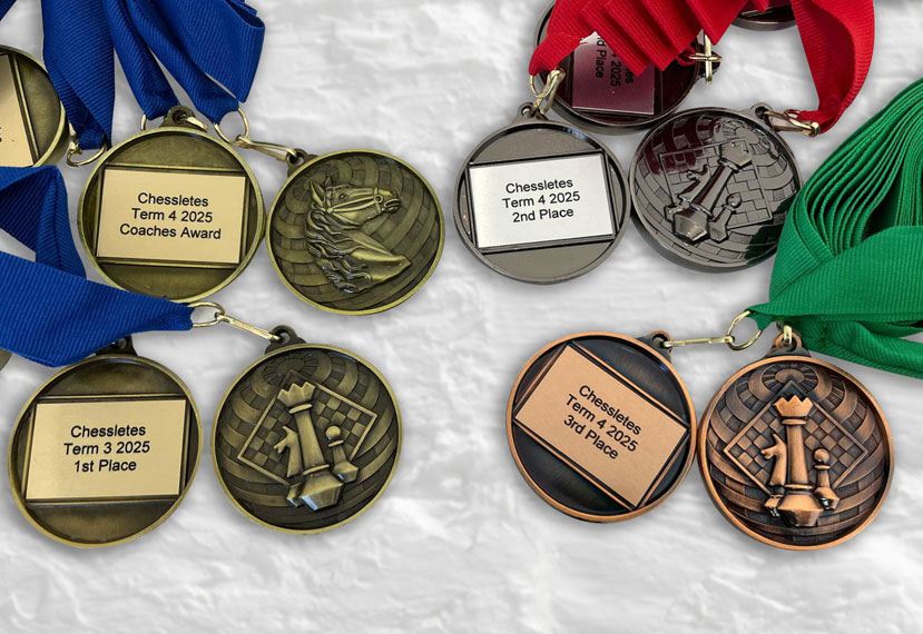 medals trophies and plaques for chess tournaments